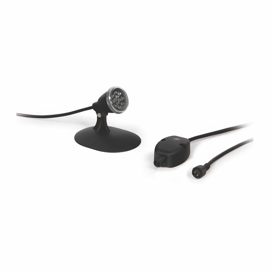 Atlantic 1-Watt Warm White LED Pond Light